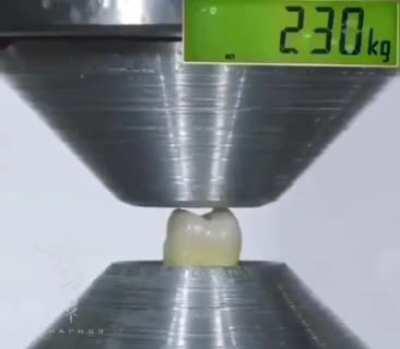 The Compressive Strength Of A Tooth