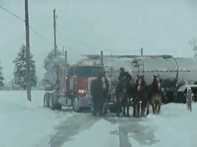 Amish good-samaritan and his team of draft horses pulling a jackknifed tanker truck out of a ditch with ease.