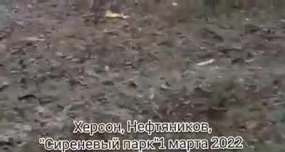 Aftermath of Ukrainian militia being wiped out while preparing an ambush with Molotov cocktails.