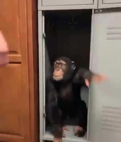 FUCK IT, CHIMP IN DA LOCKER