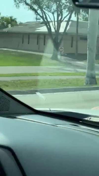 Meanwhile in Florida, a guy goes for a roll