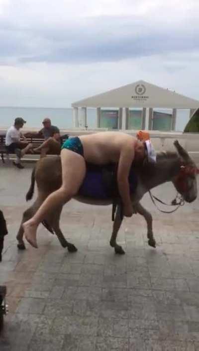 guy falls asleep in his donkey