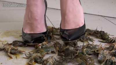 [Crush Goddess] Lena | Stilettos | Crawdad