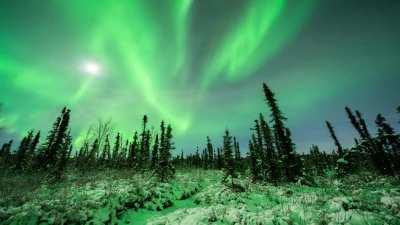 🔥 An Auroral Substorm (Explosion) in Fairbanks, Alaska