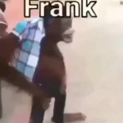 he do be frank tho