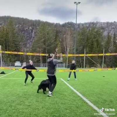 Volleyball with a dog!