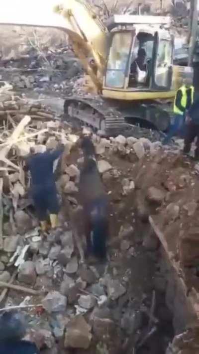 A Horse Somehow Survived 21 Days Under the Rubble After the Turkey Earthquake