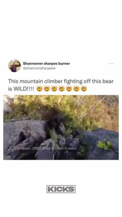 Mountain Climber fights off a bear