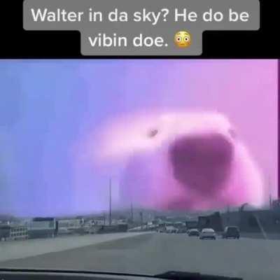 Walter in da sky