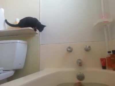 Cat vs Bathtub