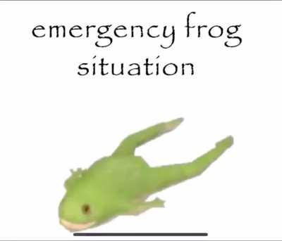 EMERGENCY FROG SITUATION 🔊🔊🔊🔊🔊🔊🔊🔊🔊🔊🔊