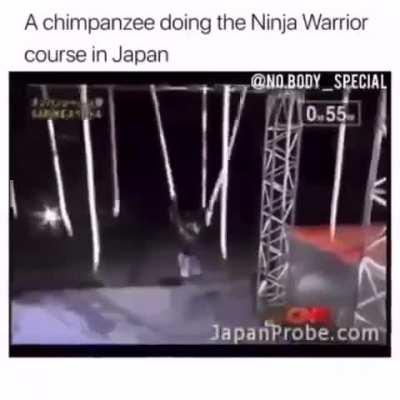 Ninja monkey