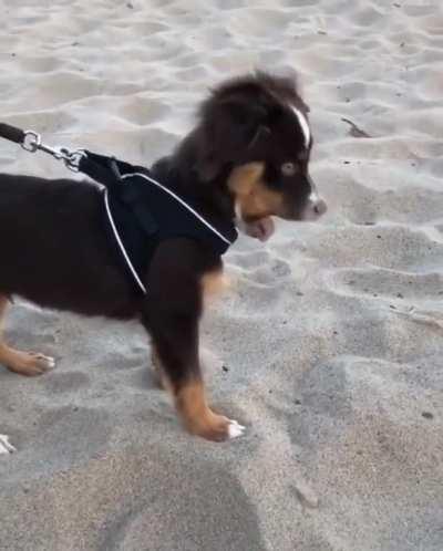 Umm... This sand tastes good.