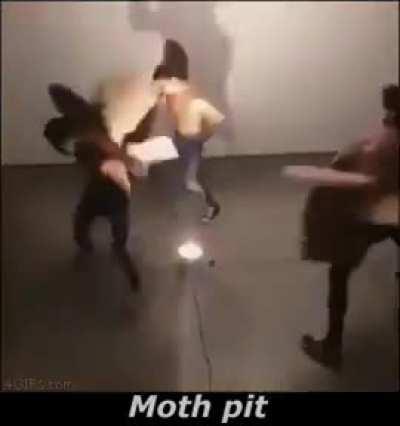 Moth