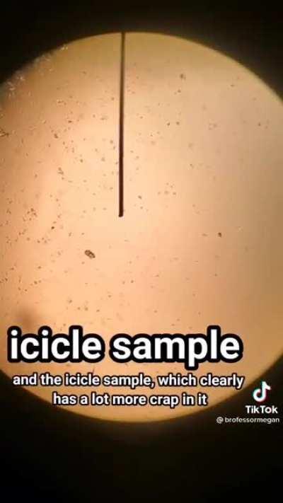 Different bacterial levels in tap water, Lake Huron, snow, and icicles