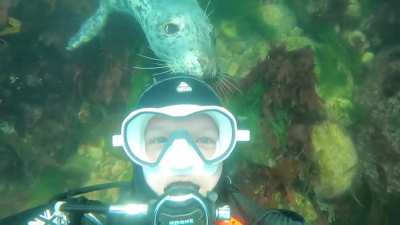 scuba