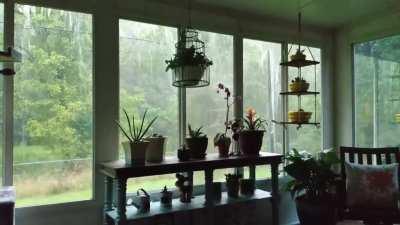 Afternoon storm from my sunroom