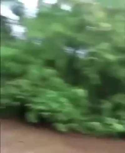 Gang War