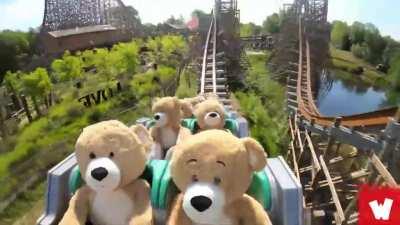 22 oversized teddy bears riding a roller coaster