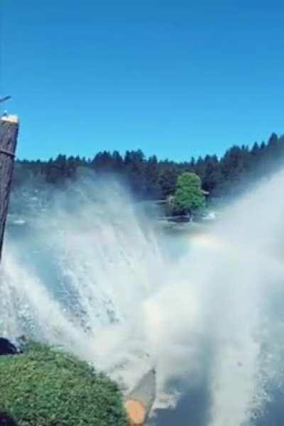 Log splitting the water