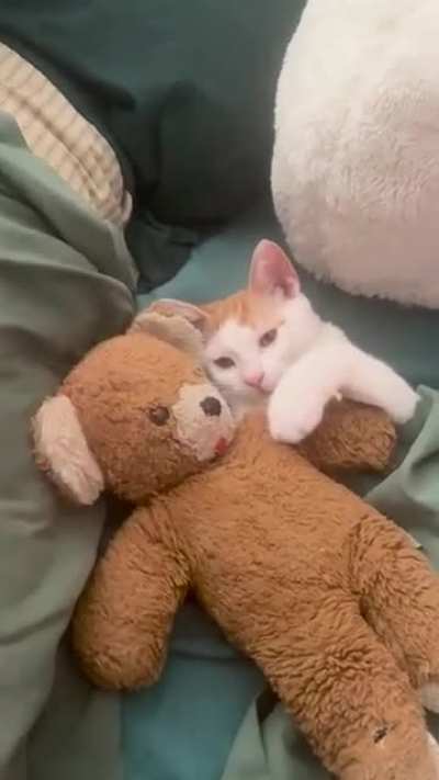 Psycho giant traumatizes beast to unconsciousness