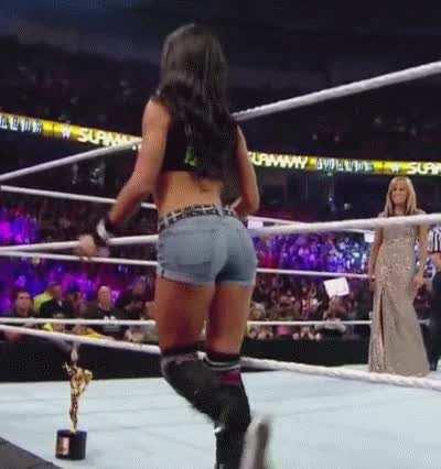 AJ Lee