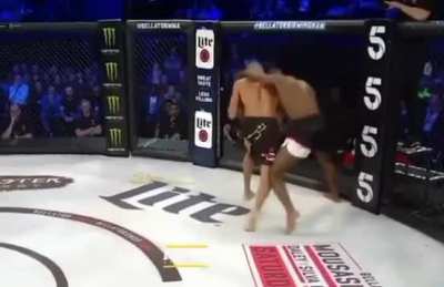 MMA fighter scores a spectacular knockout 