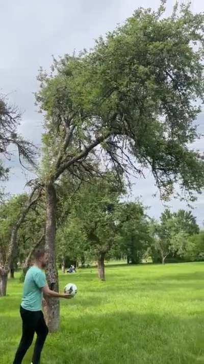 My friend attempted to retrieve a stranded ball from a tree by hitting it with another ball