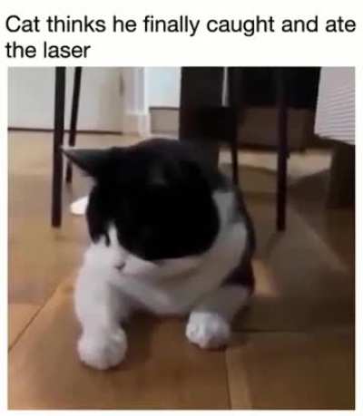 C.A.S. Consumer of All Lasers