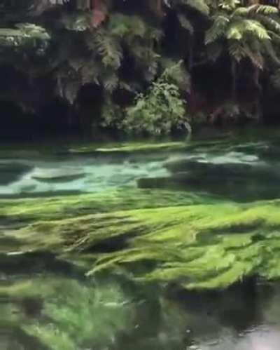 The way this river flows