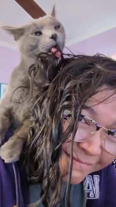 My cat discovered that she likes my hair product. A lot.