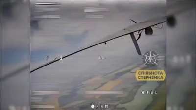 Ukrainian kamikaze drones hit a lot of various Russian recon drones. Compilation published 28 August 2024