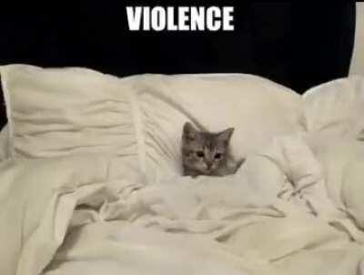 kitten seeks violence