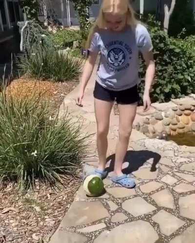 REVENGE OF THE WATERMELON!