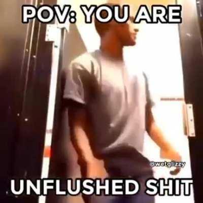 POV: You are unflushed shit