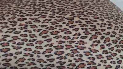 Cheetah Print Peel - My first GIF - Go easy on me!