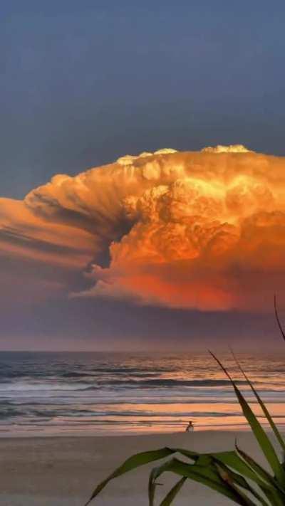 The sunset on this cumulonimbus cloud is incredible