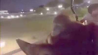 Orangutan drives people around at night