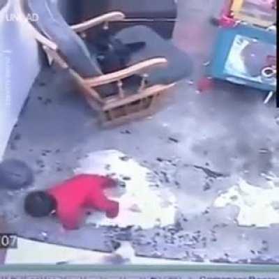 This Quick Thinking Cat saved the life of little kid!