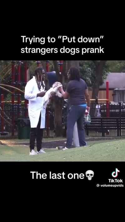 putting dogs down 'prank'