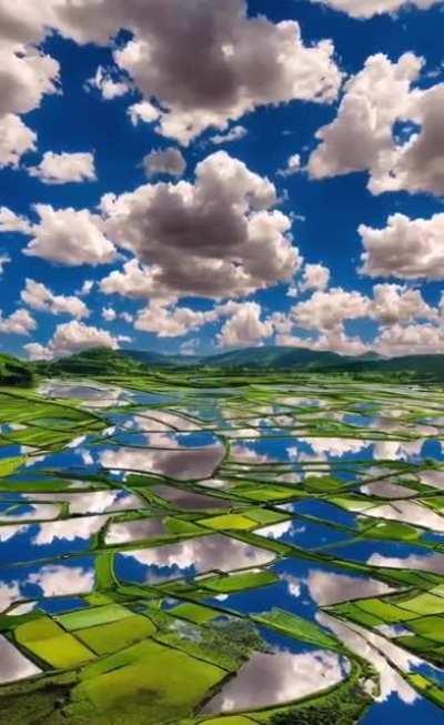 Clouds over rice fields in China