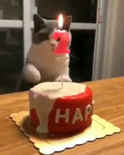 How to put off the birthday candle the correct way