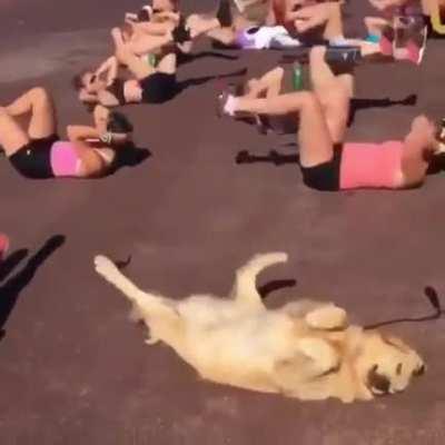 Doggo joins in for aerobics