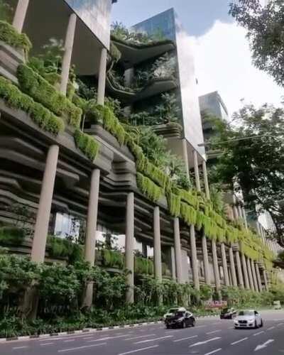 This beautiful &quot;jungle in the city&quot; in Singapore