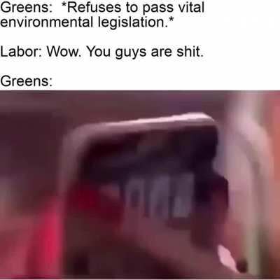 Greens on Twitter and reddit visualised