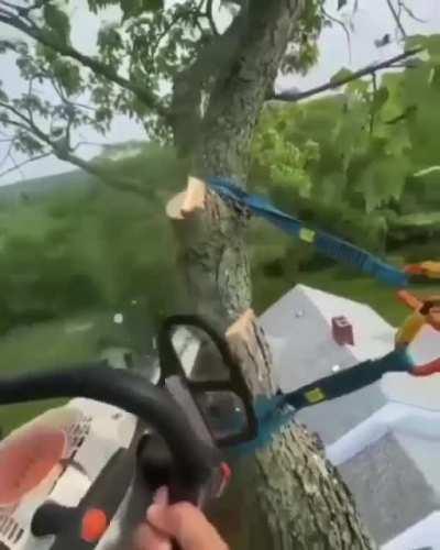 Cutting the tree with some smart setup