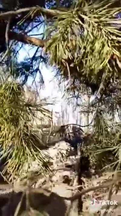 Ukrainian combat footage. Location and date unknown.