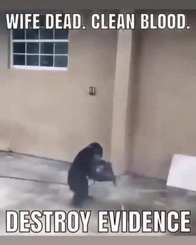 No more evidence left