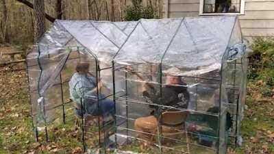 This grandpa and his buddies always played music at an Irish pub, but since the pandemic, they've been playing in the backyard - six feet apart. With the weather getting cold, they needed a better solution — so his daughter bought tiny greenhouses. Now, t