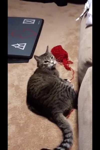 Caught red handed